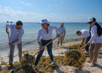 Quintana Roo: Declaran inicio de temporada de sargazo 2025