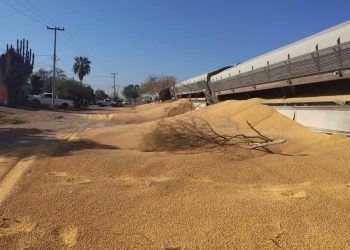 Sonora: Descarrila tren de carga en Navojoa