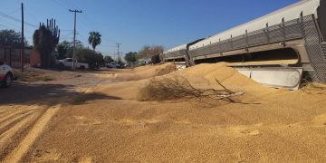 Sonora: Descarrila tren de carga en Navojoa