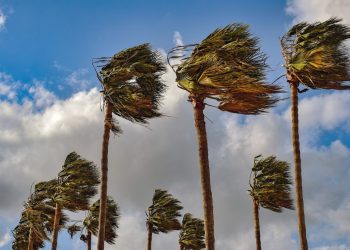 Se prevé viento con rachas fuertes en algunas regiones de México