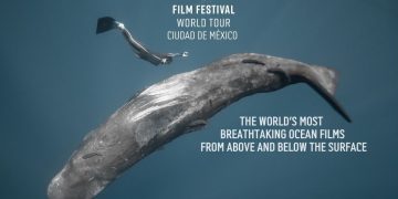 Llega a la Cineteca Nacional el Ocean Film Festival