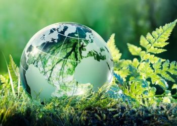 Economía Circular y Negocios Sostenibles