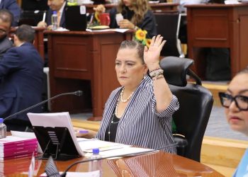 Habrá resultados oficiales de la Elección Judicial a partir de las 23:30 horas del 1 de junio; Guadalupe Taddei