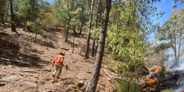 Incendios forestales que afectan sierra de Sonora se extienden a Chihuahua