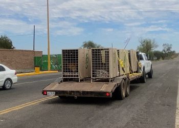 Por violencia, cierra el Santuario Ostok de Culiacán