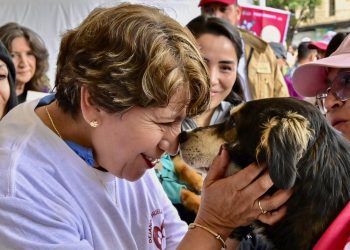 Gobierno del Edoméx invita a adoptar a un perrito en la final Toluca vs América