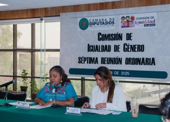 En marcha reforma que señala: “el agresor se va de casa”; Teresa Ealy
