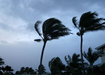 “Esperamos que con las lluvias que se presentan en el país, la ola de calor disminuya su intensidad”: Meteorólogo