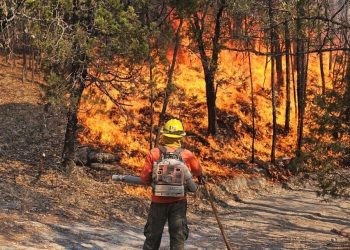 Sonora: Incendio forestal activo consume casi 10 mil hectáreas
