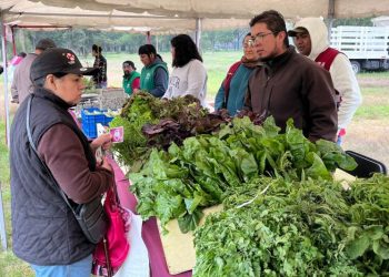 Todo listo para la Mega Jornada de Reciclaje en la CDMX