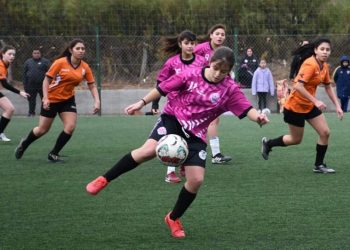 “Capitalinos podrán disfrutar muchas actividades durante el Mundial 2026”: Frausto