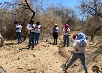 Sonora: Madres buscadoras celebran su día con búsquedas