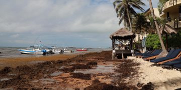El sargazo vuelve a amenazar al turismo