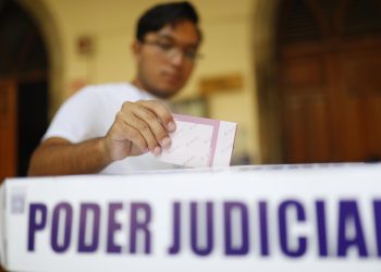 OEA destaca tranquilidad y baja participación en las elecciones judiciales