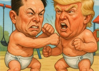 Internet estalla en memes por la pelea Trump-Musk