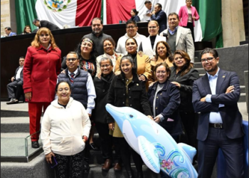 Queda prohibido el uso de mamíferos marinos en espectáculos