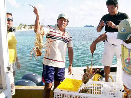Efectos del cambio climático afectan la actividad turística en Quintana Roo