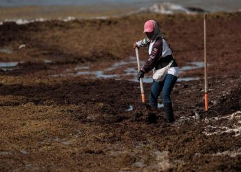 Especial 2da parte | Efectos del cambio climático afectan la actividad turística en Quintana Roo