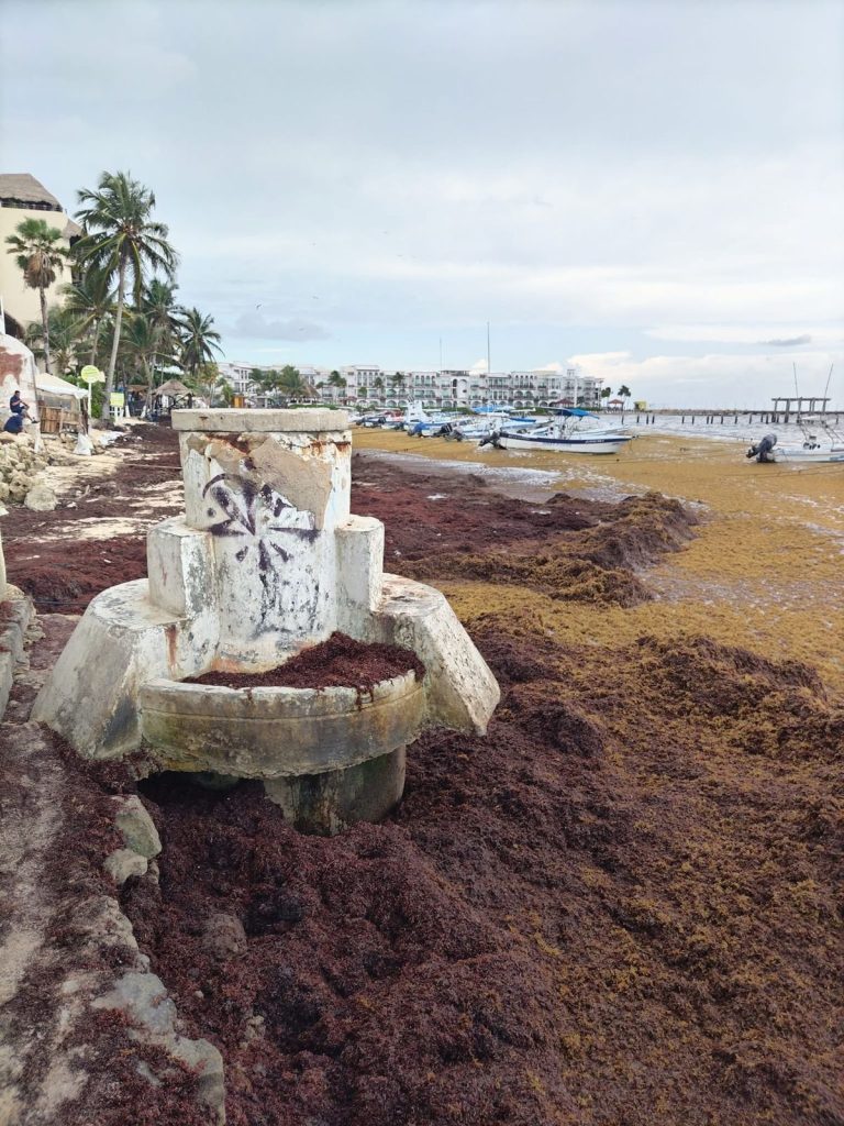 Efectos del cambio climático afectan la actividad turística en Quintana Roo