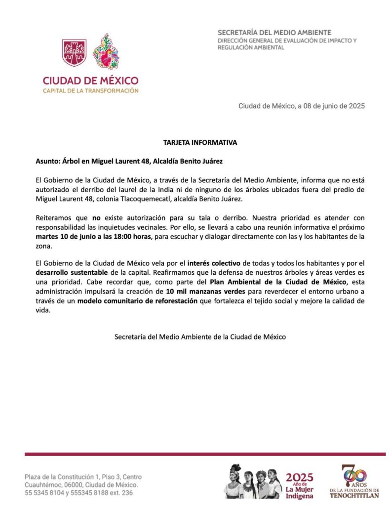"Laureano" el árbol no será talado, aclara Sedema 