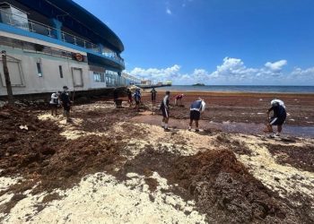 Activan Plan Marina por sargazo en Playa del Carmen
