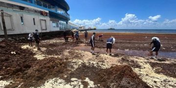 Activan Plan Marina por sargazo en Playa del Carmen
