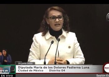 Aprobaron los diputados, por 445 votos de 500 la Ley de Seguridad Pública