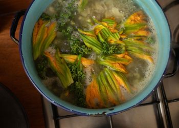 En Chapingo lanzan concurso para rescatar la cocina con plantas nativas mexicanas