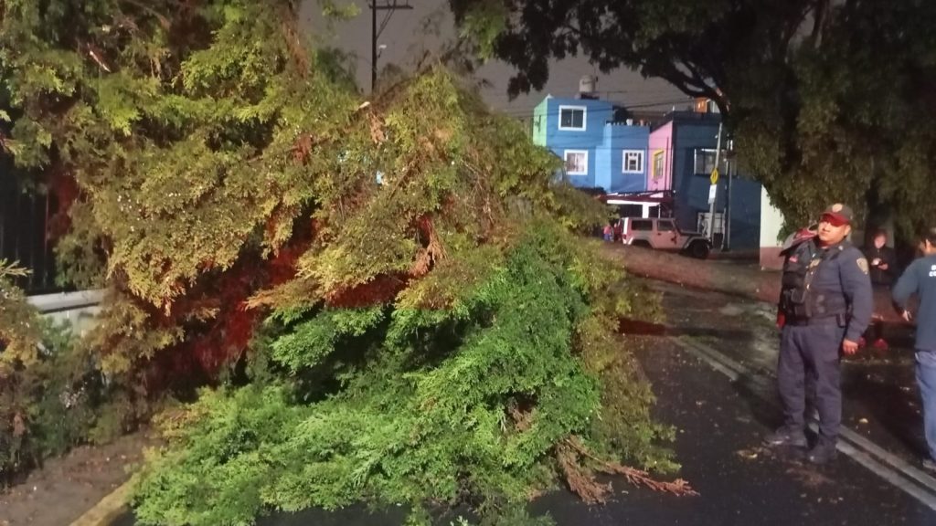 Encharcamientos y árboles caídos saldo de fuertes lluvias en la CDMX