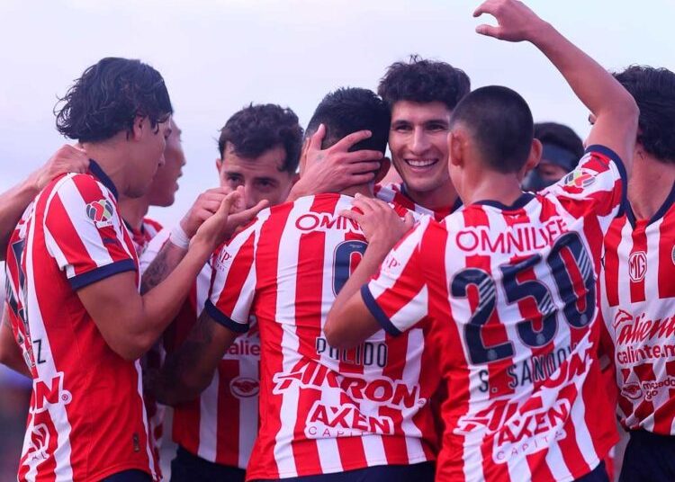 chivas