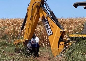 Colectivos encuentran restos de 18 personas en zona agrícola del sur de Sonora