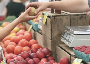 80% de las mipymes en México son vulnerables a perdidas por riesgos naturales, advierten comerciantes en pequeño