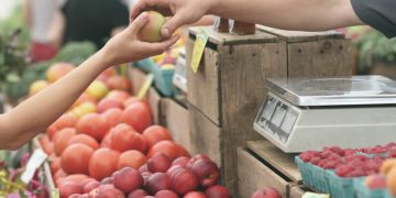 80% de las mipymes en México son vulnerables a perdidas por riesgos naturales, advierten comerciantes en pequeño