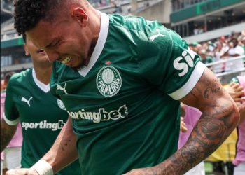 palmeiras