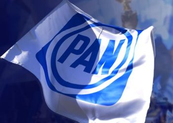 “OEA confirma preocupaciones sobre la elección judicial en México”: PAN 