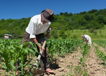 Este sexenio se entregarán por lo menos 150 mil títulos de propiedad: Tribunal Superior Agrario