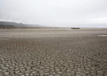 Cambio climático: Sequías se agravan 40%