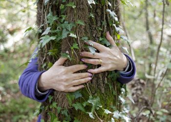 Beneficios para las empresas europeas que protejan y preserven la naturaleza