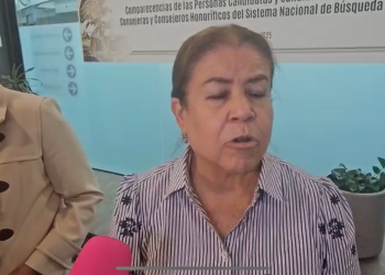 “Renuncia de Teresa Reyes a Comisión Nacional de Búsqueda, oportunidad para mejorar atención a víctimas”: Valdez