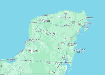 Comunidad menonita desmonta ilegalmente zonas de selva en la Península de Yucatán