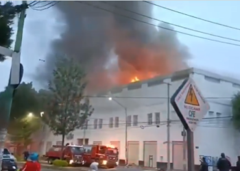 50 personas desalojadas por incendio en la colonia Morelos