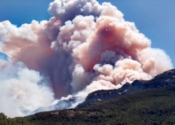 ¿Por qué los incendios forestales en áreas protegidas arden más que el resto?