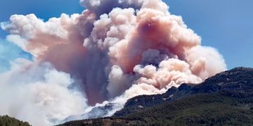 ¿Por qué los incendios forestales en áreas protegidas arden más que el resto?