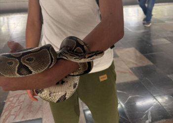 Joven viaja en el Metro con serpiente, es detenido