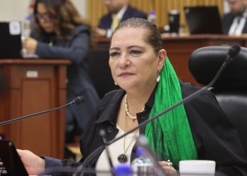Guadalupe Taddei, realiza cambios de funcionarios en la estructura del INE