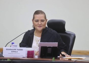No está en la agenda entregar el Padrón Electoral, al gobierno: Guadalupe Taddei