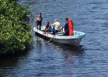 Michoacán: Menor cae de un puente en Lázaro Cárdenas y es devorado por cocodrilos