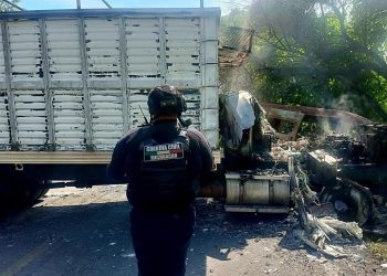 Continúa violencia en Tierra Caliente y Sierra Costa de Michoacán