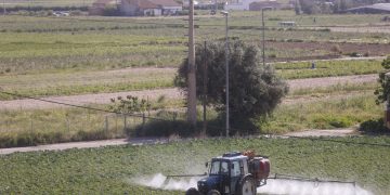 Emisiones de gases de efecto invernadero agrícolas podrían reducirse un 7% en 2034 si mejora la gestión de tierras