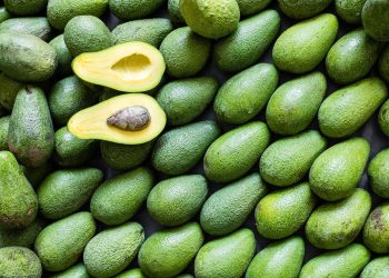 Fortalecen México y Japón confianza en exportación de cárnicos y aguacate
